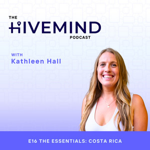The Hive Mind podcast artwork