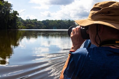 A naturalist guide paddles a dugout canoe on a narrow Amazon creek, Ecuador.