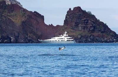 The white Aqua Mare liveaboard yacht lies at anchor in calm blue water below dramatic red volcanic cliffs as a mobula ray leaps from the sea in the foreground, Galápagos Islands, Ecuador.