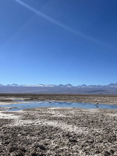 A still altiplano lagoon mirrors the snow-capped Andes in the Atacama Desert, Chile.