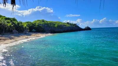A quiet Caribbean beach fringed with trees and palms beside calm water on Roatán, Bay Islands, Honduras.