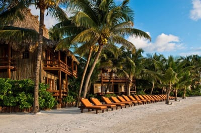 Sun loungers and cabanas line a palm-fringed Caribbean beach, Belize.