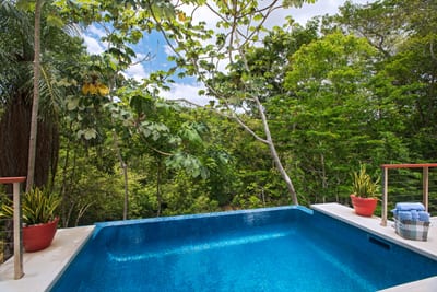 A plunge pool set amid the rainforest canopy, Belize.