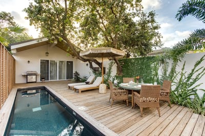 A private courtyard plunge pool shaded by a jungle tree, Belize.
