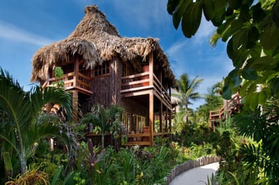 A thatched villa set in dense rainforest canopy, Belize.