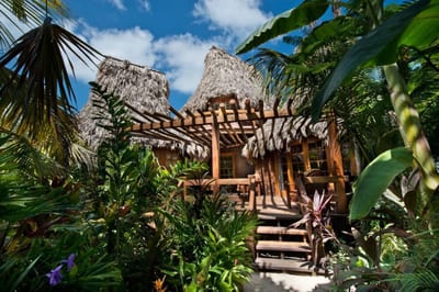 A wooden lodge nestled in dense rainforest, Belize.