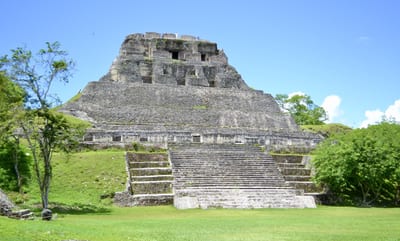 The El Castillo pyramid of the Xunantunich Maya ruins rising above the jungle canopy, Belize.