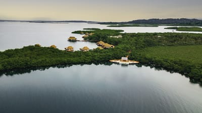Aerial mangrove islands threaded by turquoise channels, Bocas del Toro, Panama.