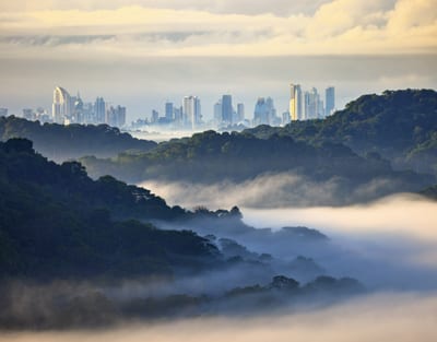 Cloud forest blankets the green mountains around Boquete in Panama's highlands.