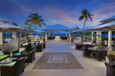 An infinity pool framed by palms overlooking the Caribbean Sea.
