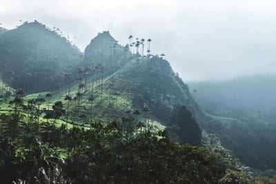 Misty green mountains of Colombia's coffee region, Eje Cafetero.