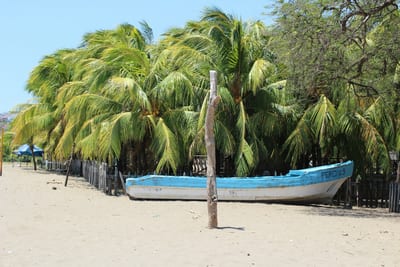 A small panga boat on a palm-fringed Caribbean beach, Corn Islands, Nicaragua