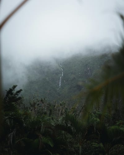 Mist drifts over the volcanic rainforest mountains of Dominica, Caribbean.