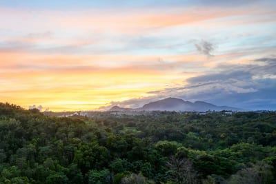 A lush rainforest valley rolling toward forested mountains at sunset on Dominica, the Caribbean's Nature Island.