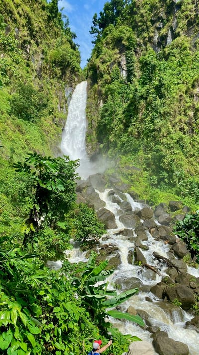 A tall waterfall tumbles through the rainforest of Dominica, the Caribbean's Nature Island.