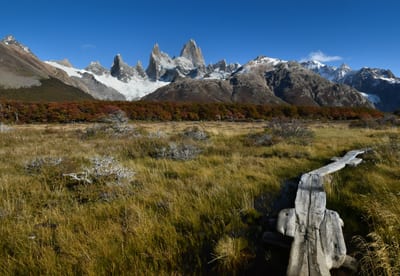 An open autumn meadow with a weathered bench looking toward the jagged Fitz Roy massif near El Chaltén in Argentine Patagonia.