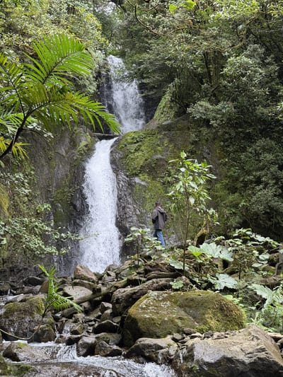 A two-tier waterfall on the complimentary waterfalls hike in the El Silencio Lodge private reserve, Bajos del Toro, Costa Rica