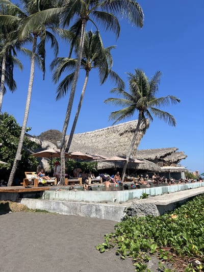 Palms lean over the black-sand Pacific beach at El Tunco, El Salvador.