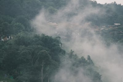 An Embera Indigenous village set deep in the rainforest of Panama.