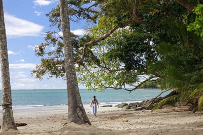 A woman walks along a quiet sandy beach framed by large shade trees and palms at Isla Palenque, with calm turquoise water and a small offshore island