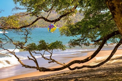 A curving tropical tree branch frames a Pacific beach where a colorful parasail floats over the bay beyond the surf, with forested headlands at Manuel Antonio on Costa Rica's central Pacific coast.