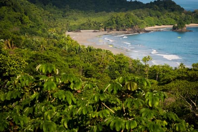 Tropical jungle and turquoise ocean at Manuel Antonio National Park, Costa Rica