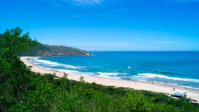 A sweeping sandy beach curving below a green headland with turquoise surf on the Bahia coast, Brazil.