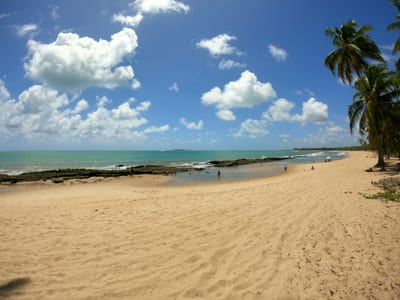 Palm trees lean over a quiet sandy beach beside calm turquoise water on the Maraú Peninsula, Bahia, Brazil.