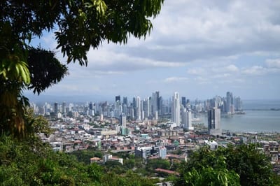 View of the Panama City skyline and Pacific bay framed by rainforest foliage from a lookout in Parque Natural Metropolitano