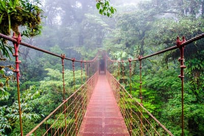 A red suspension hanging bridge stretches into the misty canopy of the Monteverde cloud forest, surrounded by dense green foliage in Costa Rica.