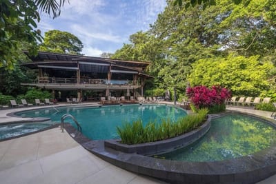 Free-form swimming pool with sun loungers and a planter of magenta plants below the open-air restaurant, surrounded by rainforest at Pachira Lodge in Tortuguero, Costa Rica