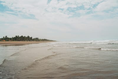 A long, quiet sandy Pacific beach backed by coconut palms under a hazy sky on El Salvador's remote coast.