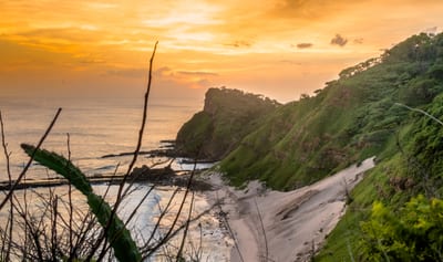 Golden sunset light spreads over green coastal cliffs, a rocky cove, and the Pacific Ocean along Costa Rica's wild shoreline, framed by foreground brush and a glowing sky.