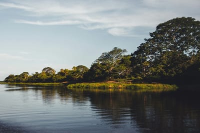 Open water and forest in the Pantanal, the world's largest tropical wetland, Brazil.