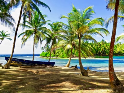 A tropical palm-lined beach in the Pearl Islands, Panama.