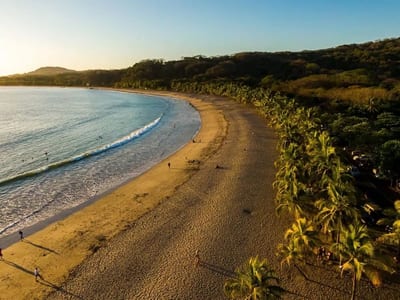 Golden-hour aerial of a long, gently curving sandy beach backed by a dense coconut palm grove, with a calm turquoise bay and forested hills, on the Nicoya Peninsula coast of Guanacaste, Costa Rica.