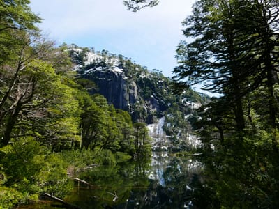 Forested shoreline along a lake near Pucon in Chile's Lake District.
