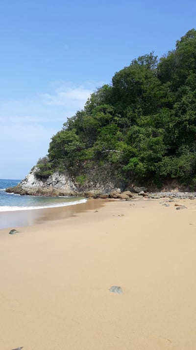 A secluded golden-sand cove backed by a green headland and calm turquoise water near Puerto Escondido, Oaxaca, Mexico.