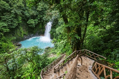 The brilliant turquoise-blue waterfall and plunge pool of Rio Celeste cascade through dense rainforest in Tenorio Volcano National Park, Costa Rica, with a railed stairway leading to the viewpoint.
