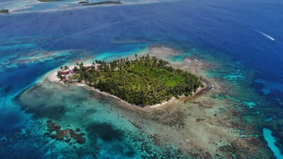 A small palm-fringed island in the San Blas archipelago of Guna Yala, Panama.