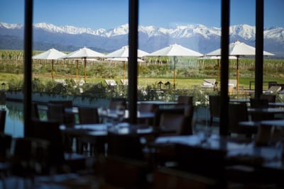 Snow-capped Andes peaks seen through the floor-to-ceiling windows of a vineyard restaurant, with white parasols and vine rows between, Uco Valley, Mendoza, Argentina