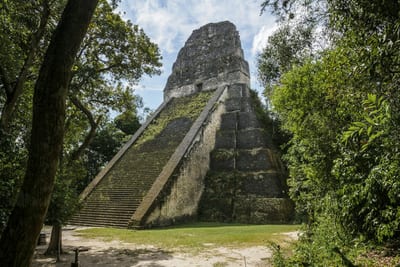 A Maya stone temple at Tikal rises from a jungle clearing in Petén, Guatemala.