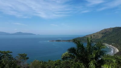 Atlantic rainforest meets a calm beach and clear water on the green coast near Ubatuba, São Paulo state, Brazil.