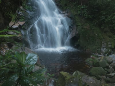 A waterfall cascades over mossy rocks into a natural pool deep in the lush Atlantic forest near Ubatuba, São Paulo state, Brazil.