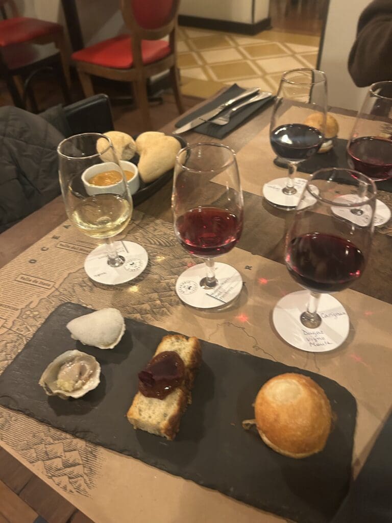 Wine tasting at Bocanariz in Chile, with glasses of red and white wine, bread, and small gourmet appetizers on a slate plate.