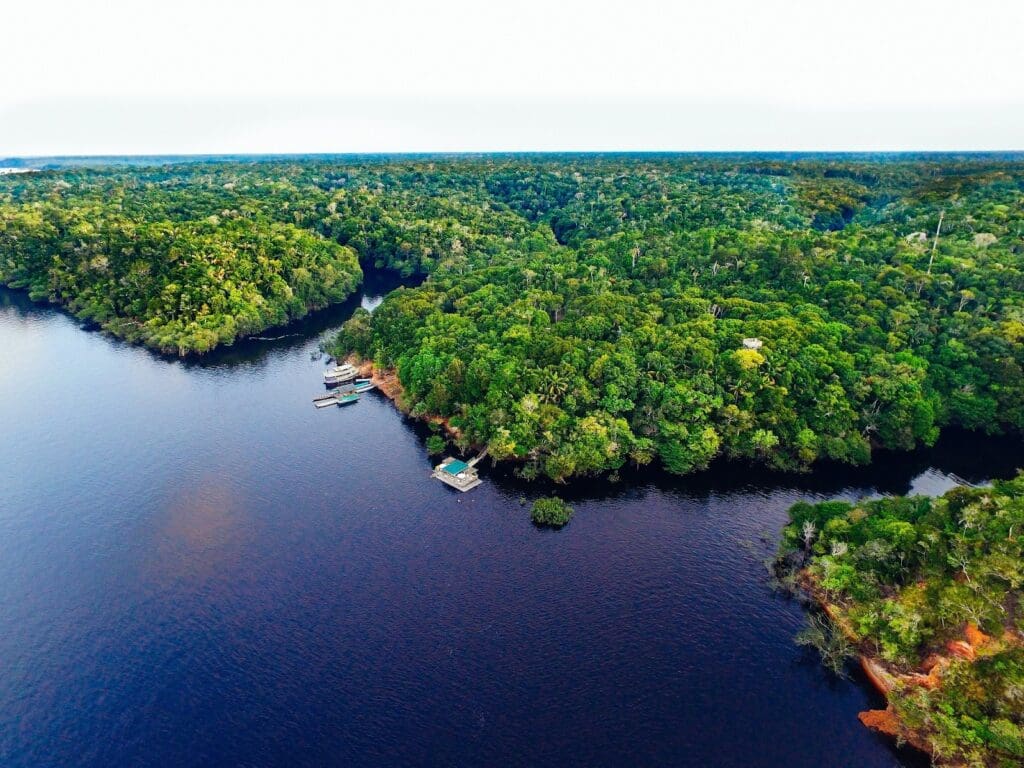 Aerial view of a dense tropical rainforest bordering a wide, dark river. The lush green canopy stretches into the horizon, with a few small docks and boats visible along the shoreline. The calm water reflects the sky, creating a striking contrast with the vivid greenery of the forest.